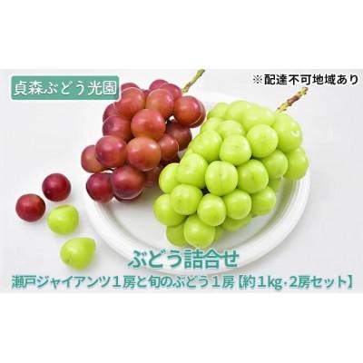 ふるさと納税 竹原市 瀬戸ジャイアンツ1房と旬のぶどう1房(約1kg 2房セット)