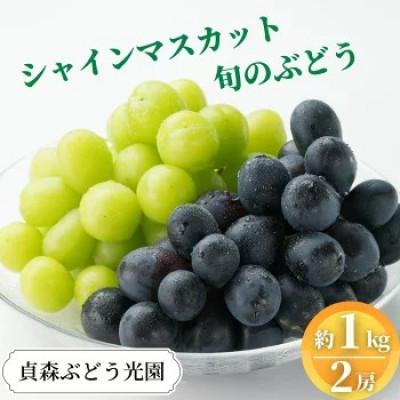 ふるさと納税 竹原市 シャインマスカット1房と旬のぶどう1房 (約1kg 2房セット)