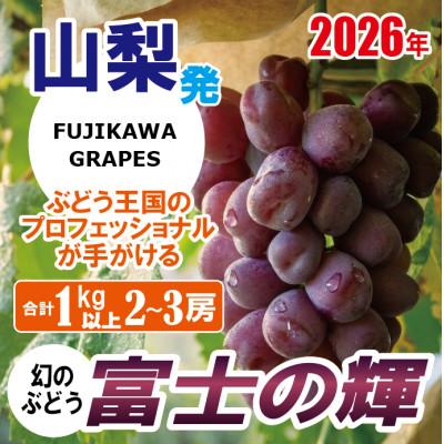 ふるさと納税 富士川町 [超希少品種!]上級品/[富士の輝]/合計1.0kg以上(2〜3房)