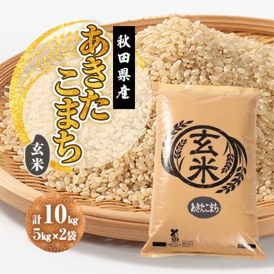 ふるさと納税 大潟村 【新米予約】令和8年産 あきたこまち 玄米 10kg(5kg×2袋) | 