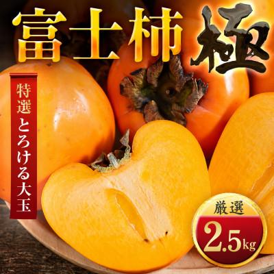 ふるさと納税 八幡浜市 肉厚濃蜜 富士柿 2.5kg 愛媛県産[49-124]