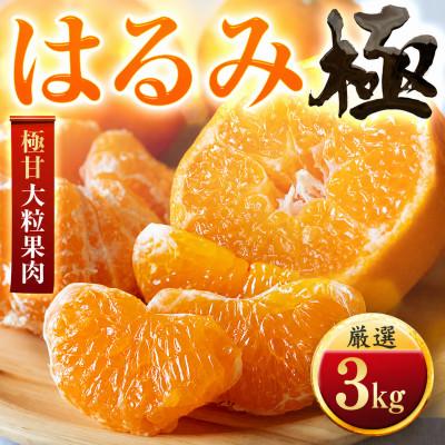 ふるさと納税 八幡浜市 [果汁あふれる]とろ甘食感 はるみ 3kg 愛媛県産[49-122]