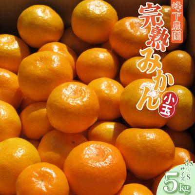ふるさと納税 太良町 [先行受付]峰下農園の完熟みかん(小玉) 約5kg(太良町)[L124×1]