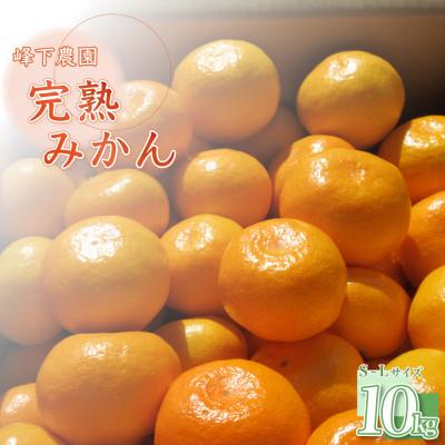 ふるさと納税 太良町 [先行受付]峰下農園の完熟みかん 約10kg(太良町)[M49×1]