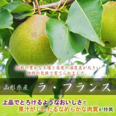 ふるさと納税 中山町 令和9年産先行受付 中山町産 芳醇「ラ・フランス」約2kg 玉数おまかせ 特秀品