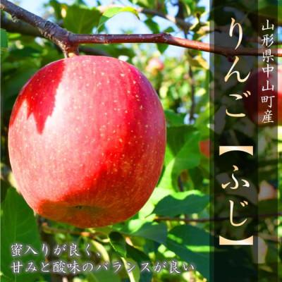 ふるさと納税 中山町 令和9年産先行受付 山形県中山町産ふじりんご[秀品] 5kg 玉数おまかせ