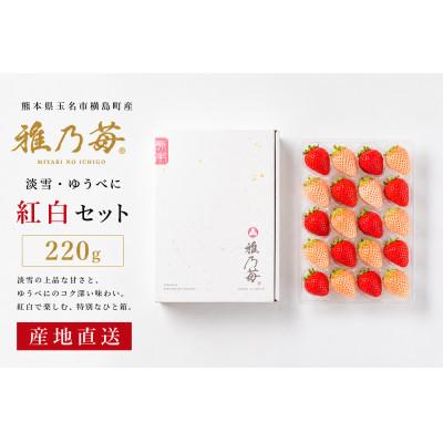 ふるさと納税 玉名市 [先行予約]熊本県玉名市産 雅乃苺 20粒紅白セット