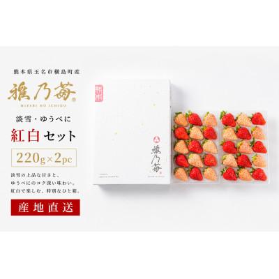 ふるさと納税 玉名市 [先行予約]熊本県玉名市産 雅乃苺 紅白セット 約220g×2pc