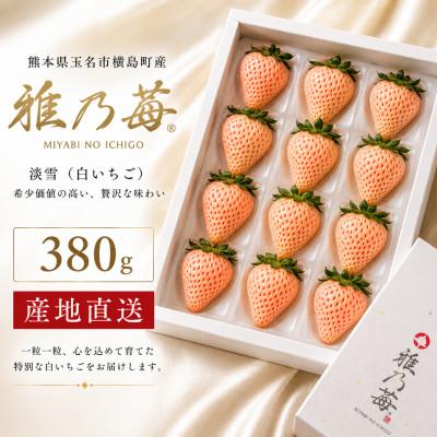 ふるさと納税 玉名市 [先行予約]熊本県玉名市産 雅乃苺 淡雪 約380g