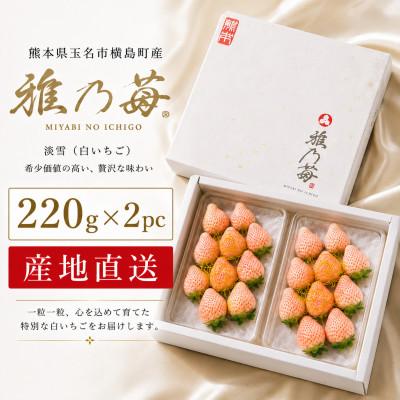 ふるさと納税 玉名市 [先行予約]熊本県玉名市産 雅乃苺 淡雪 約220g×2pc