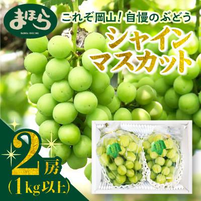 ふるさと納税 鏡野町 [2026年度発送分]早起き農家の直送便 お土産シャインマスカット2房