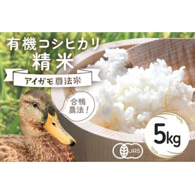 ふるさと納税 石岡市 [令和7年産]有機栽培米 コシヒカリ 精米 5kg 合鴨農法