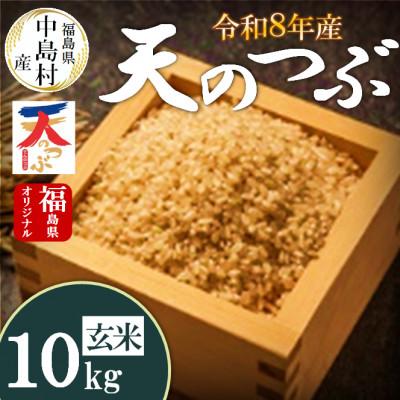 ふるさと納税 中島村 令和8年産 中島村産 天のつぶ 玄米 10kg