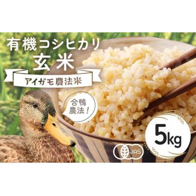 ふるさと納税 石岡市 [令和8年産]有機栽培米 コシヒカリ 玄米 5kg 合鴨農法
