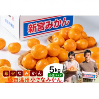 ふるさと納税 太良町 [12月上旬より順次発送]新宮みかん園 希少な盛田温州の小さなみかん5kg [L141×1]