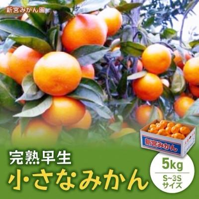 ふるさと納税 太良町 [10月中旬より順次発送]完熟早生小さなみかん 5kg (S〜3Sサイズ) (太良町)[L53×1]