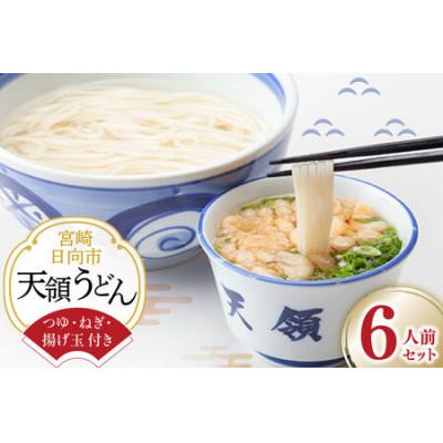 ふるさと納税 日向市 天領うどん(つゆねぎ揚げ玉付き) 6人前