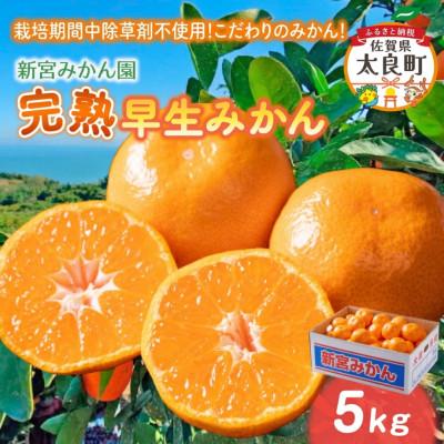 ふるさと納税 太良町 [10月中旬より順次発送]新宮みかん園 完熟早生みかん 5kg (S〜L) (太良町)[L54×1]