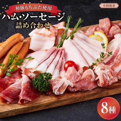 ふるさと納税 小田原市 和豚もちぶたの旨みを堪能できるハム・ソーセージ詰め合わせセット
