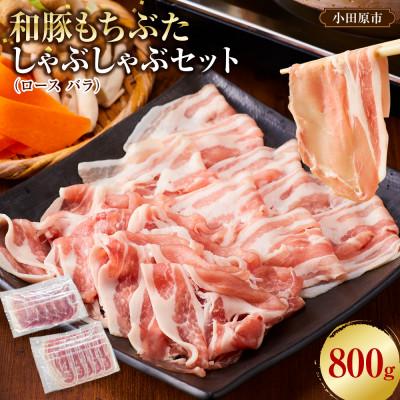 ふるさと納税 小田原市 [和豚もちぶた]ロース・バラ詰め合わせ しゃぶしゃぶ用セット 合計800g