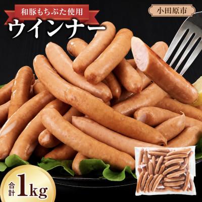 ふるさと納税 小田原市 合計 約1kg!和豚もちぶた使用 ウインナー