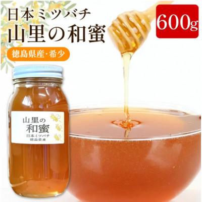 ふるさと納税 三好市 [600g]山里の和蜜(百花蜜)|日本みつばち