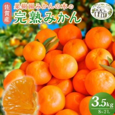 ふるさと納税 太良町 [11月上旬より順次発送]果樹園みかんの木の完熟みかん 約3.5kg(太良町)[L9×1]