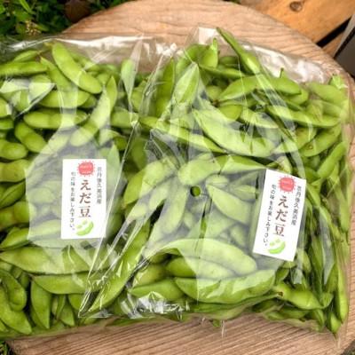 ふるさと納税 京丹後市 [数量限定]朝採り枝豆(湯上り娘)500g(250g×2パック)