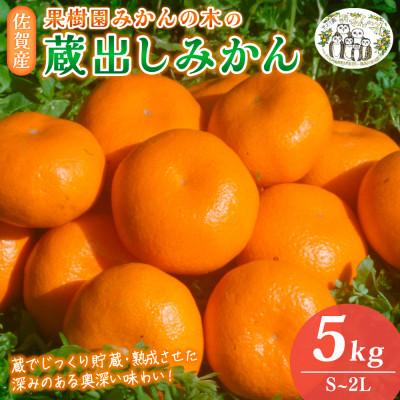 ふるさと納税 太良町 果樹園みかんの木の蔵出しみかん約5kg(太良町)[N24×1]