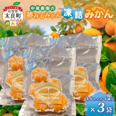 ふるさと納税 太良町 中尾農園の夢みるみかん 凍結みかん3Sサイズ5個入×3袋 [M110×1](太良町)