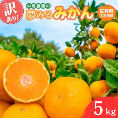 ふるさと納税 太良町 [訳あり]中尾農園の夢みるみかん 5kg[NB36×1](太良町)