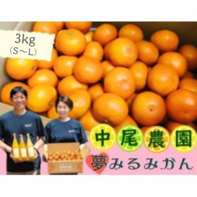 ふるさと納税 太良町 中尾農園の夢みるみかん(S-L) 3kg[O167×1](太良町)