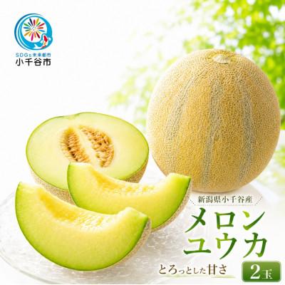 ふるさと納税 小千谷市 [ 先行予約 7月下旬以降発送 ] とろける甘さのユウカメロン 約2kg×2個 農園ビギン 新潟県