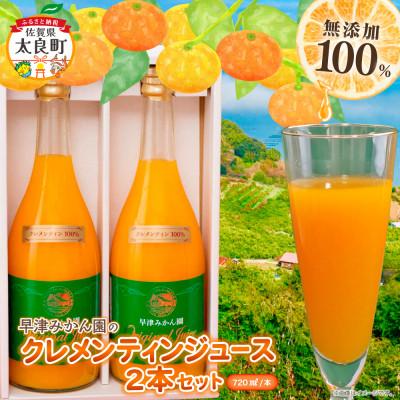 ふるさと納税 太良町 [数量限定]クレメンティンジュース 720ml 2本セット(贈答用)(太良町)[ND13×1-1]