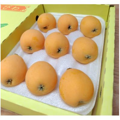ふるさと納税 長崎市 長崎市産露地びわ(千々(ちぢ)んびわ)約600g(9玉または12玉) |  | 01