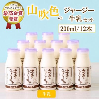 ふるさと納税 南小国町 山吹色のジャージー牛乳セット 200ml 12本