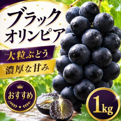 ふるさと納税 紀美野町 ブラックオリンピア 約1kg(2〜4房) (nuk502-bla-1)
