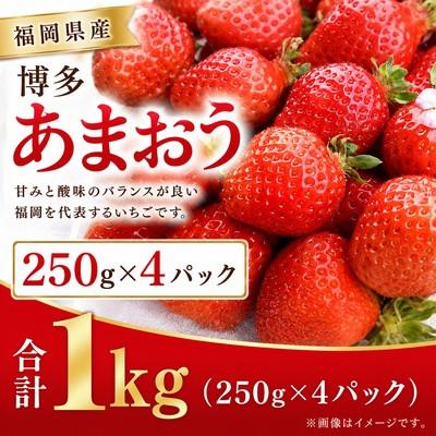 ふるさと納税 大木町 [2027年4月〜発送]博多あまおう 1キロ(約250g×4パック)