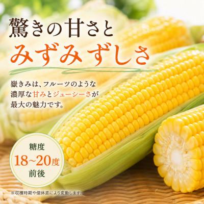 ふるさと納税 青森県 とうもろこし 朝採り 嶽きみ(だけきみ) 10本 L