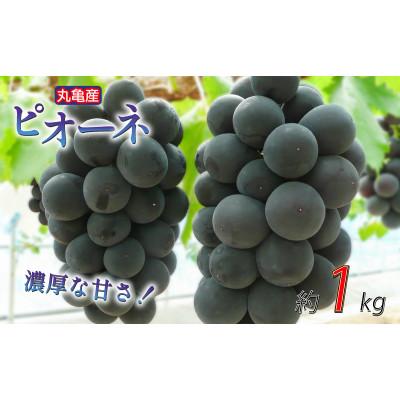 ふるさと納税 丸亀市 先行受付 ピオーネ 約1kg 2-3房 発送:8月上旬〜