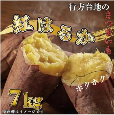 ふるさと納税 行方市 令和8年度産 訳あり・無選別 行方台地のさつまいも 紅はるか約7kg CU-55-7