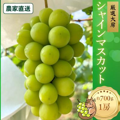 ふるさと納税 甲州市 厳選大房シャインマスカット 秀品 1房 約700g[2026年発送] 贈答用にもお勧めです!