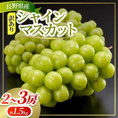 ふるさと納税 塩尻市 約1.5kg!! 訳あり シャインマスカット (2〜3房) 長野県産 2026年新登場!