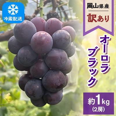 ふるさと納税 浅口市 [訳あり]2026年発送 岡山県産 オーロラブラック2房 合計約1kg 冷蔵配送