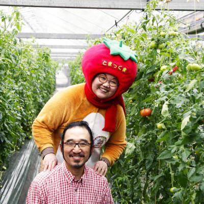 ふるさと納税 土佐市 【先行予約】フルーツトマト 約1.6kg  糖度8度以上 《2027年2月上旬から順次発送》 |  | 02