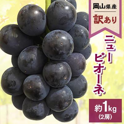 ふるさと納税 浅口市 [訳あり]2026年発送 岡山県産 ニューピオーネ2房 合計約1kg 常温配送