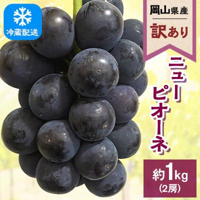 ふるさと納税 浅口市 [訳あり]2026年発送 岡山県産 ニューピオーネ2房 合計約1kg 冷蔵配送
