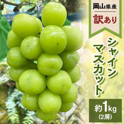 ふるさと納税 浅口市 [訳あり]2026年発送 岡山県産 シャインマスカット 2房 合計約1kg 常温配送