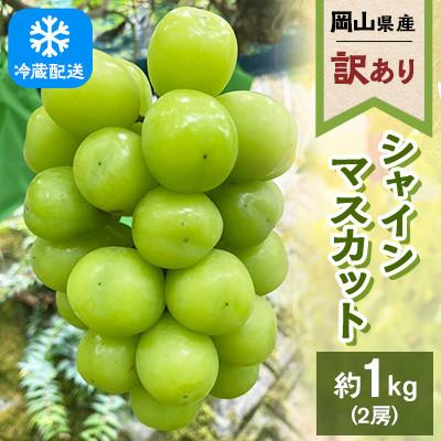 ふるさと納税 浅口市 [訳あり]2026年発送 岡山県産 シャインマスカット 2房 合計約1kg 冷蔵配送