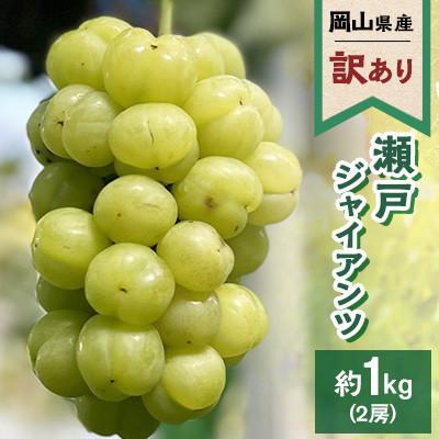 ふるさと納税 浅口市 [訳あり]2026年発送 岡山県産 瀬戸ジャイアンツ 2房 合計約1kg 常温配送